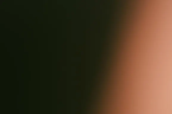 비이티 카지노 지원